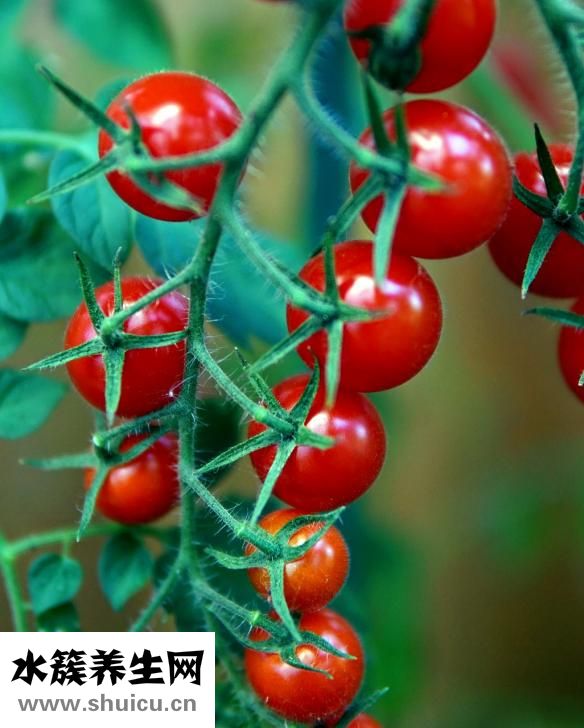 怎么能去紅血絲