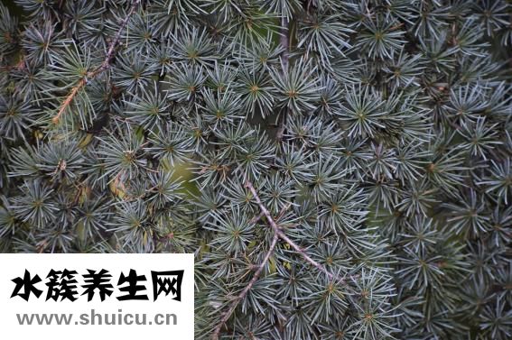 懸針紋怎么去除