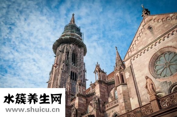 究竟的近義詞是什么