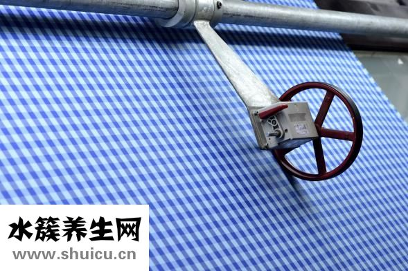 失眠多夢吃什么好