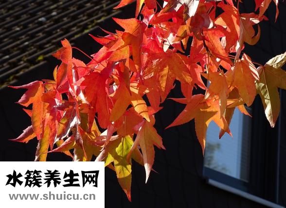 什么樣的女人好玩