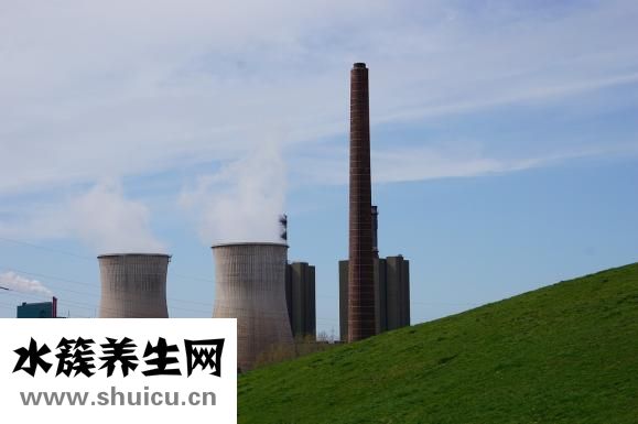 失眠多夢吃什么好