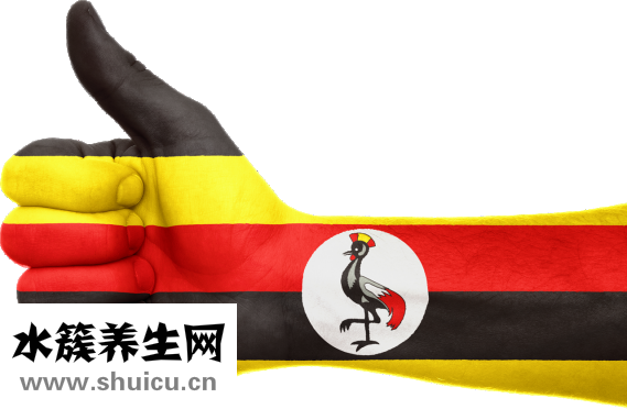 歐普達手表怎么樣