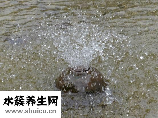 怎么樣才可以不長痘