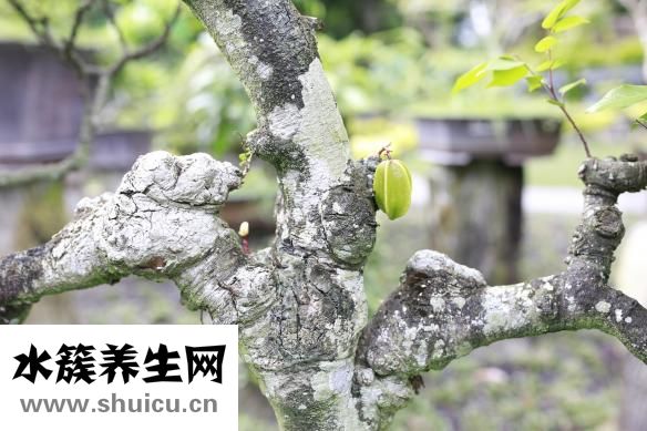 新陳代謝不好怎么辦