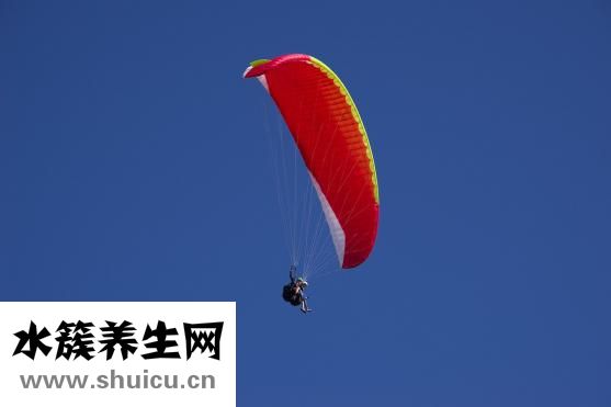 泰爾減肥怎么樣