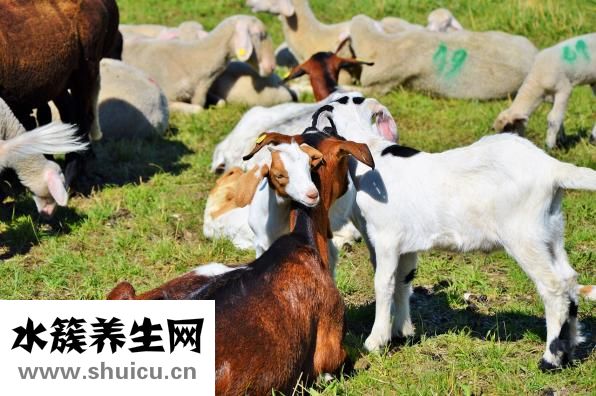 借貸寶怎么賺錢