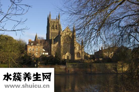 佐斯特手表怎么樣