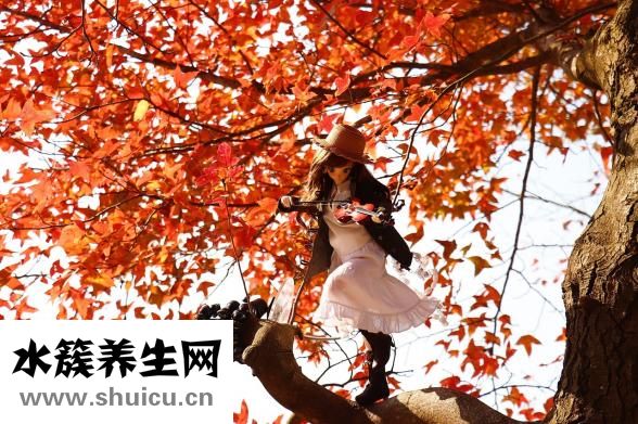 冬季皮膚瘙癢怎么辦