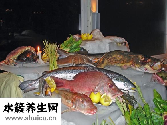 嚼味魚霸怎么樣