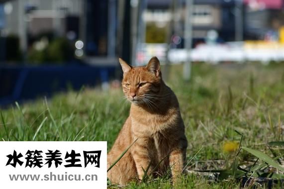 女孩什么時候來月經