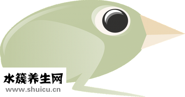 什么叫偏光太陽鏡