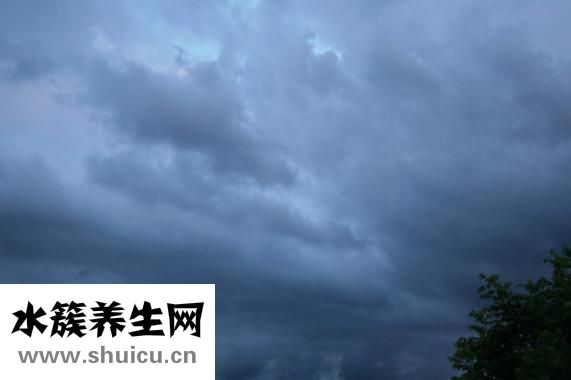 愛美萊塑身衣怎么樣