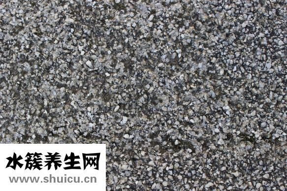 怎么樣讓小腿變長