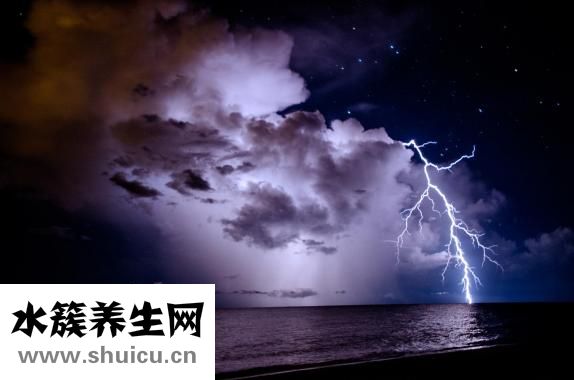 紅燒雞爪怎么做好吃