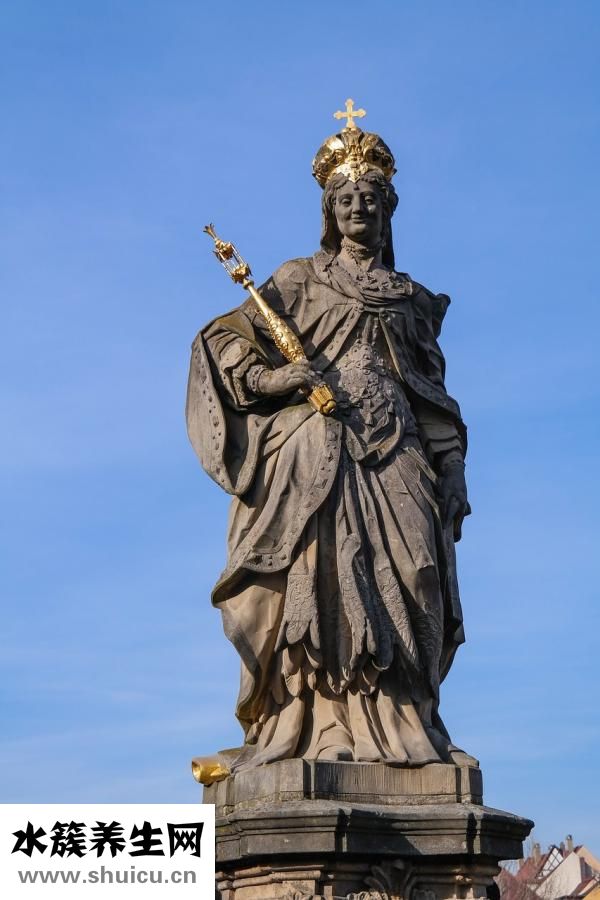 加版美贊臣怎么樣