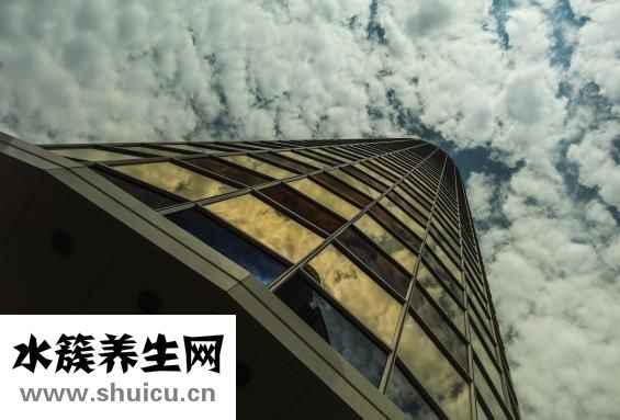 秦沛人品怎么樣