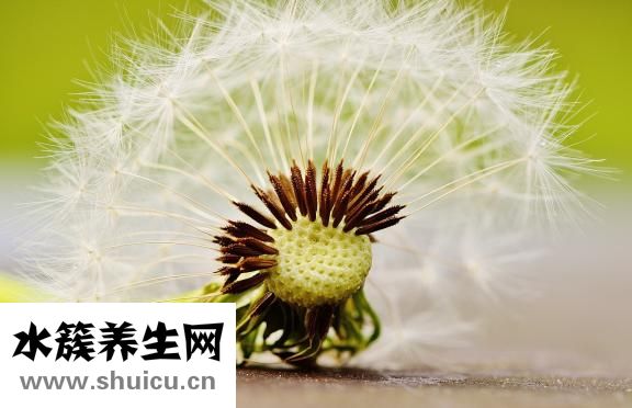 借貸寶怎么賺錢