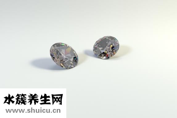 鉆石小鳥怎么樣