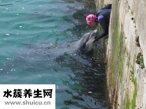 湯普集團怎么樣