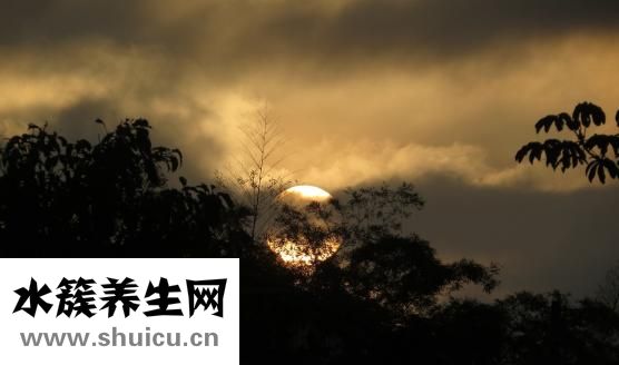 泰式臉部按摩怎么樣