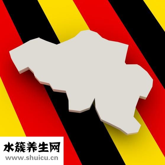 湯普集團怎么樣