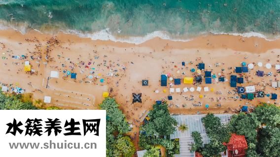 海綿卷發棒怎么用