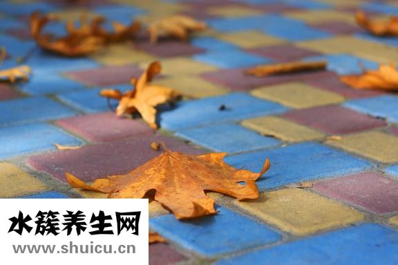 薯條怎么炸才脆