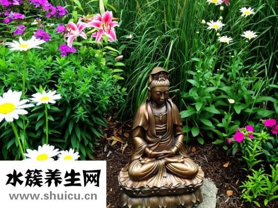 觀音蓮怎么繁殖