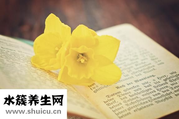 總是胡思亂想怎么辦