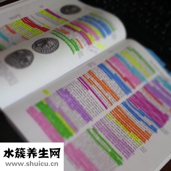 太歲吃了會怎么樣