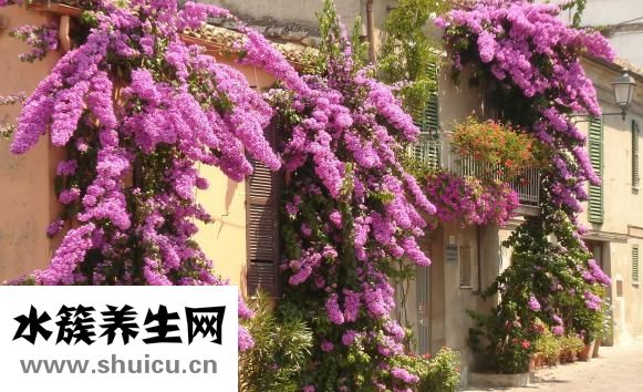 福托福孕婦吃怎么樣