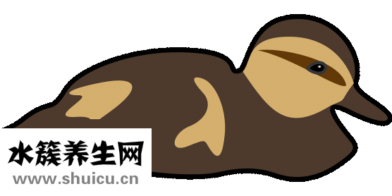 如何預防禽流感