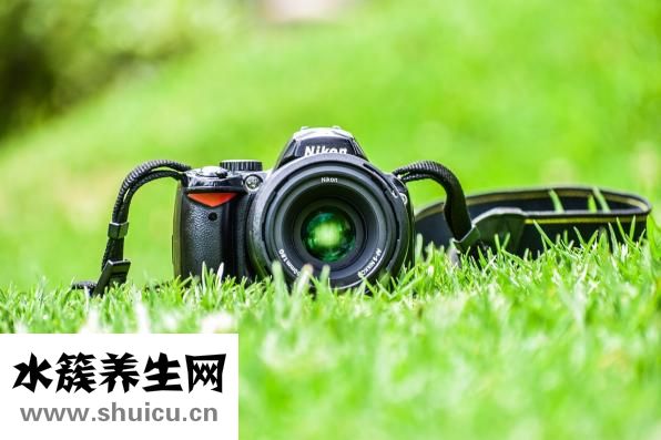 胸小怎么穿泳衣