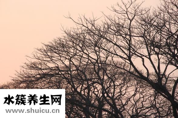 冬季皮膚瘙癢怎么辦