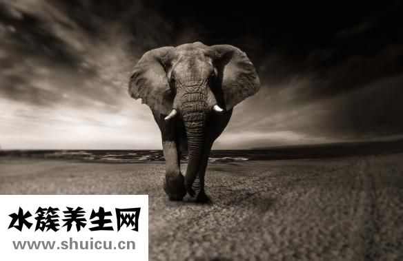 孕婦感冒了吃什么好