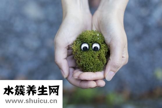 狂犬病的狗能活多久