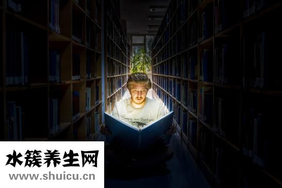 鉆石小鳥怎么樣