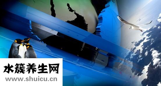 變性手術怎么做