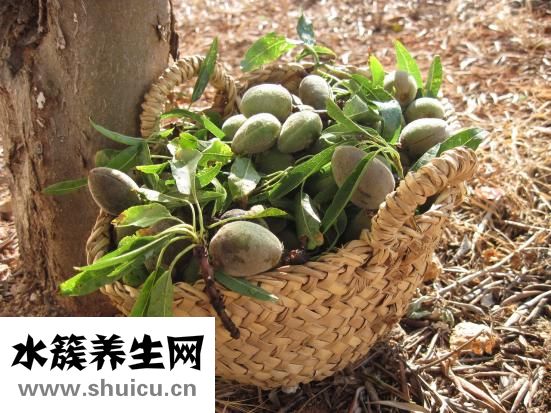 黃褐斑是怎么引起的