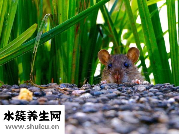 青春痘疤痕怎么去除