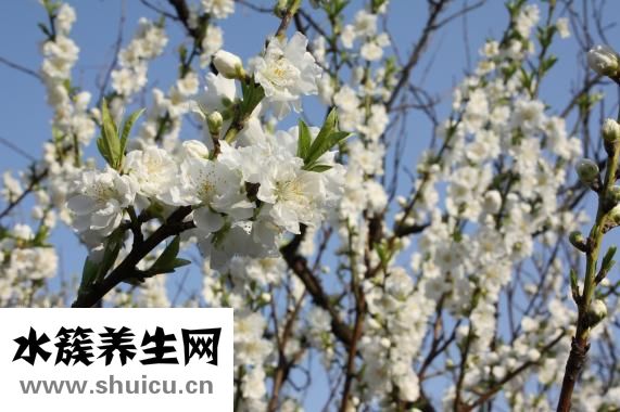 什么是空巢老人