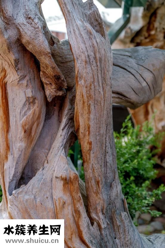 禾源山舍怎么樣