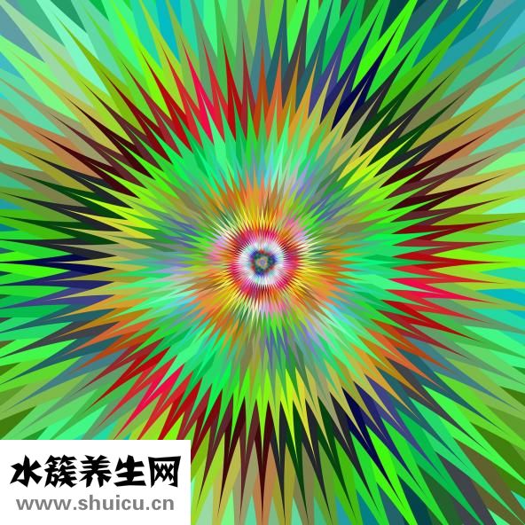 精子活動力低怎么辦