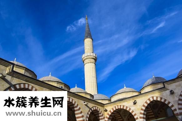 殺死丈母娘會怎么樣