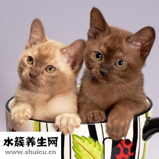 怎么樣消除緊張心理