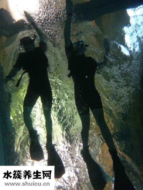 舒華跑步機怎么樣