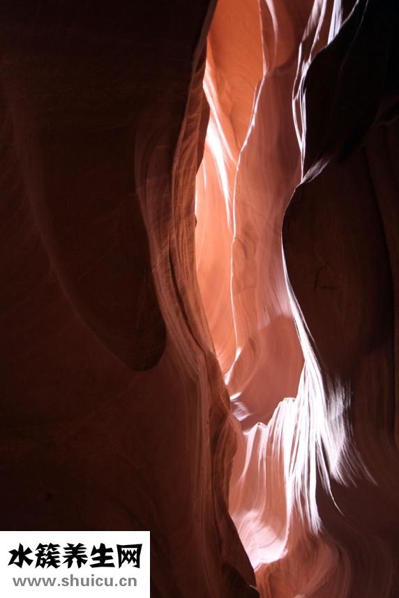 紅血絲怎么修復