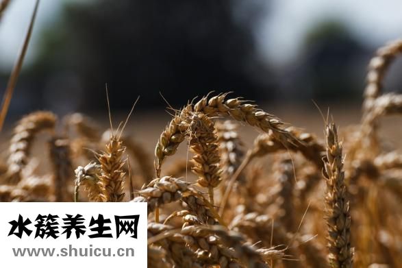 鞘膜積液怎么辦