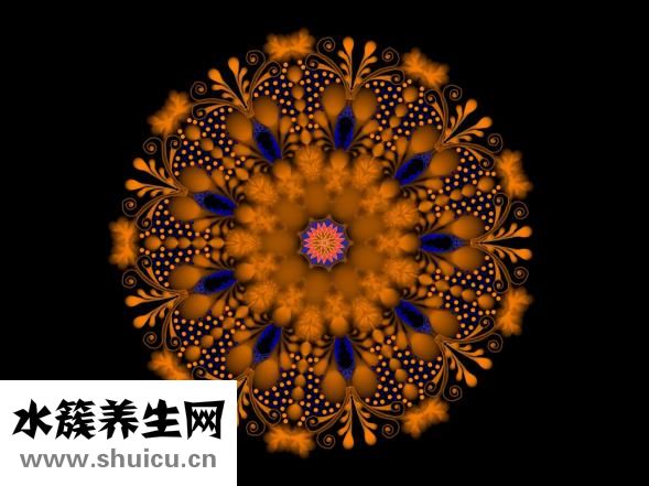 水之蔻密集怎么樣